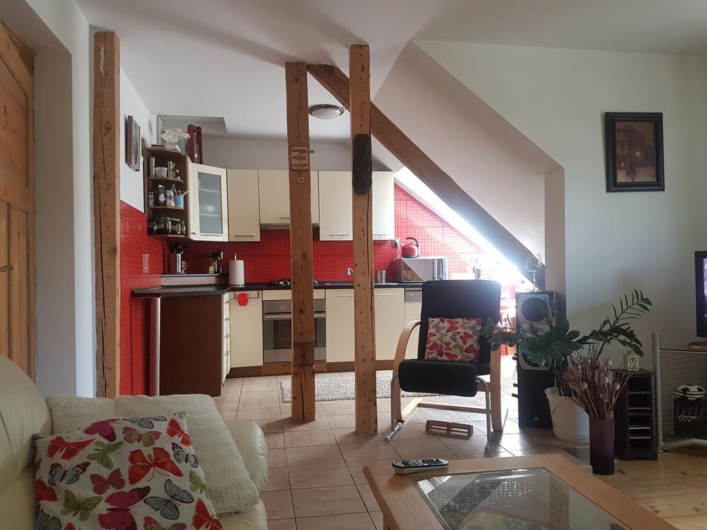 Apartman Pod Svatou Horou Příbram المظهر الخارجي الصورة