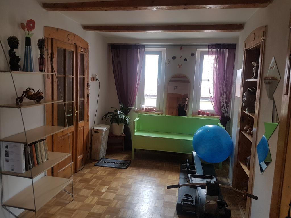 Apartman Pod Svatou Horou Příbram المظهر الخارجي الصورة
